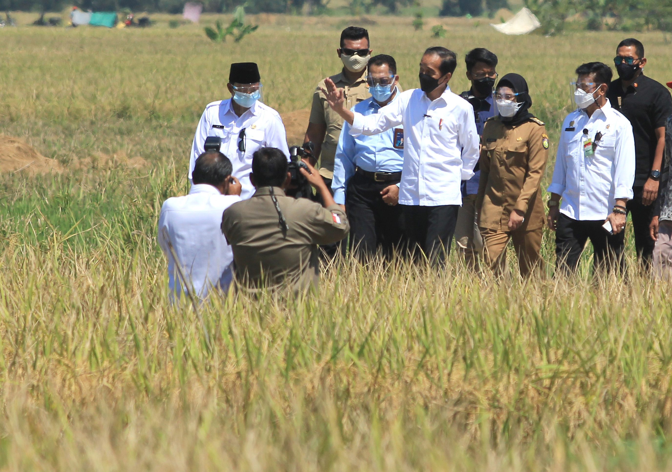 Jokowi Minta Pembangunan Kawasan Industri Batang Dipercepat