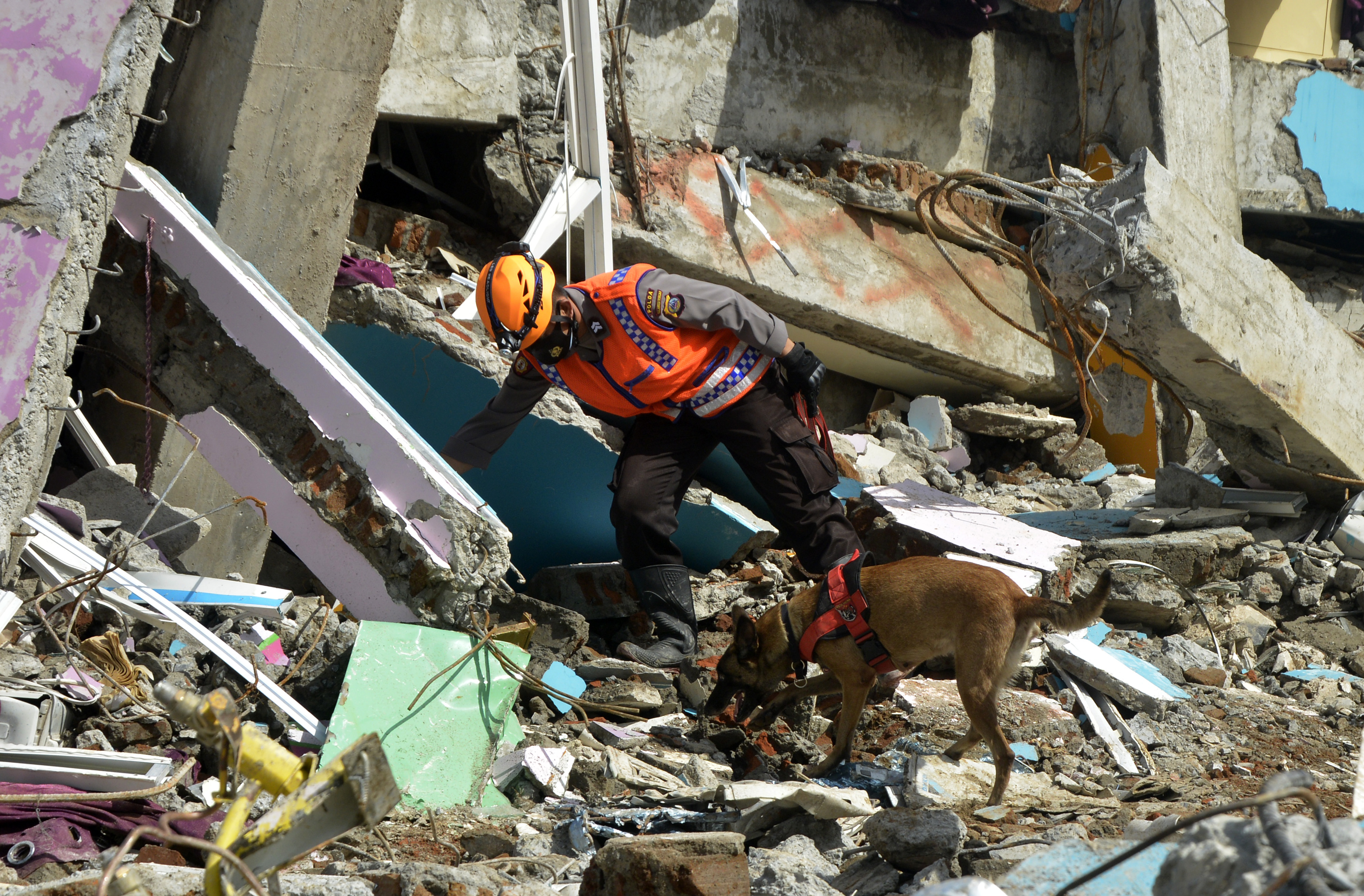 Anggota polisi dengan bantuan Unit Satwa K9 Mabes Polri melakukan pencarian korban gempa bumi di Mamuju, Sulbar, Senin (18/1/2021). 