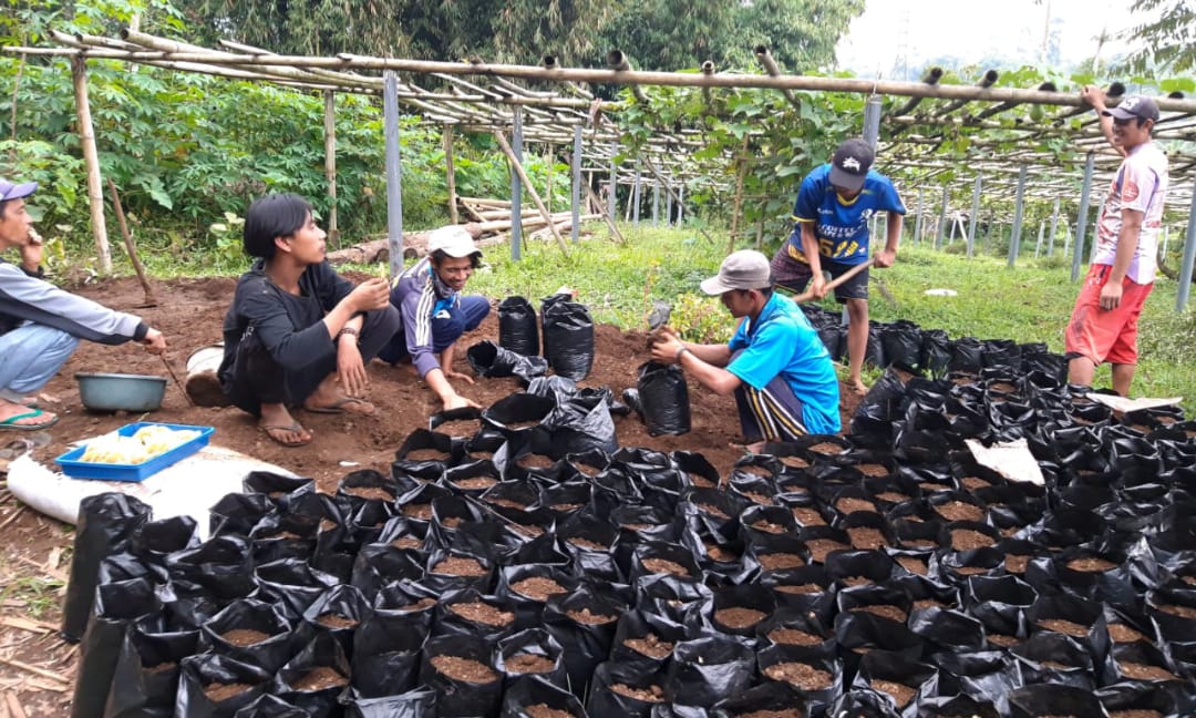 Karang Taruna Tumbuhkan Perilaku Enterpreneurship Generasi Muda
