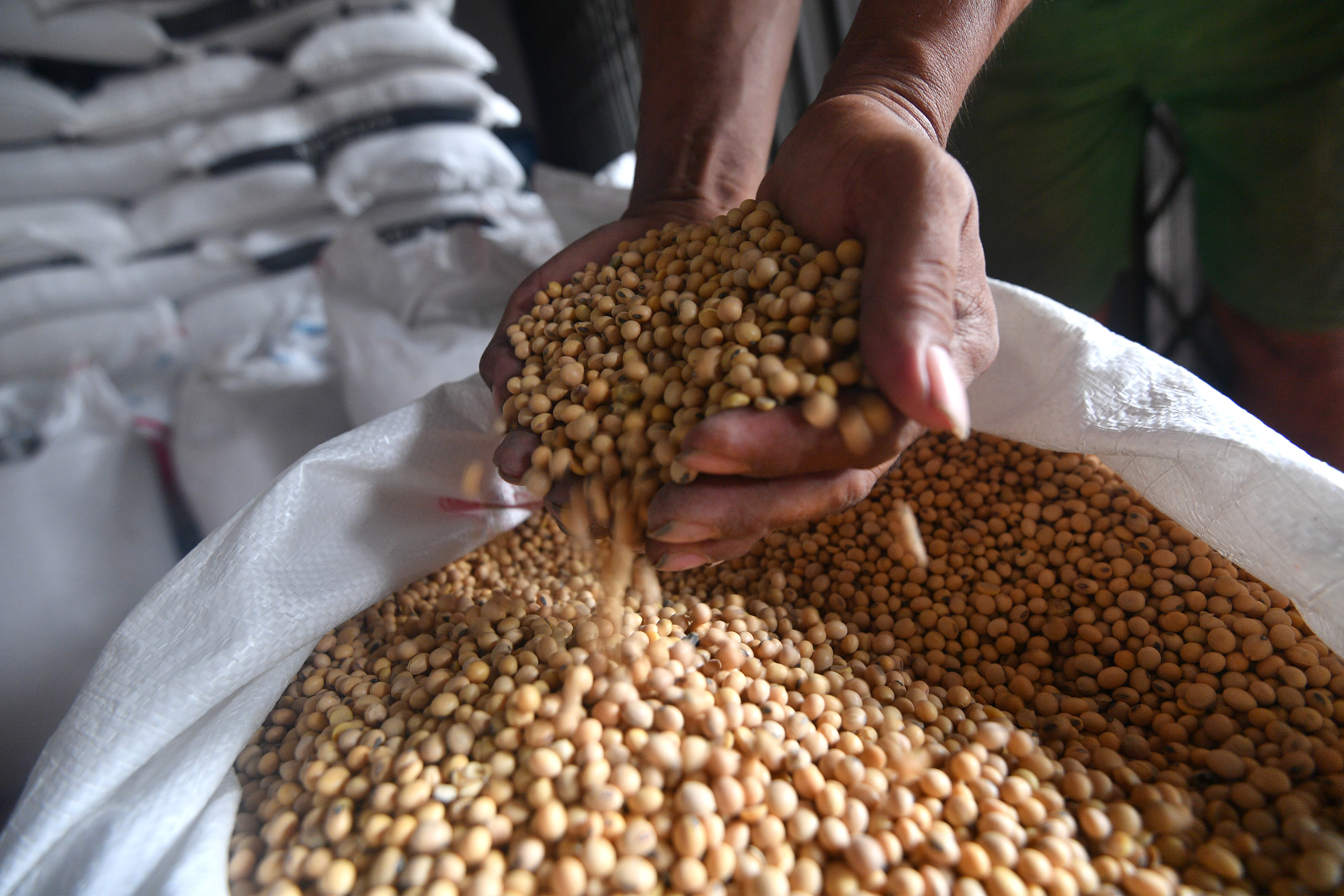 Pedagang menunjukkan kedelai impor yang dijual di Jakarta Timur, Jakarta.