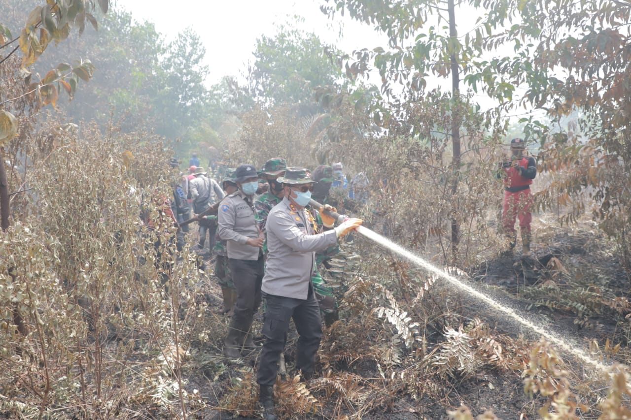 Polda Riau Tangkap 10 Tersangka Karhutla