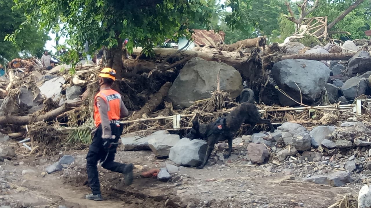 Polisi mengerahkan anjing pelacak di lokasi bencana Desa Waimatan, Kabupaten Lembata, NTT, Kamis (8/4)