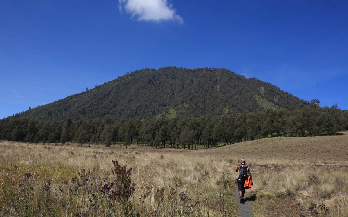 Gunung Semeru, Jawa Timur