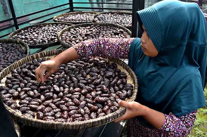 Warga menjemur makanan olahan tomat yang menjadi seperti kurma. 