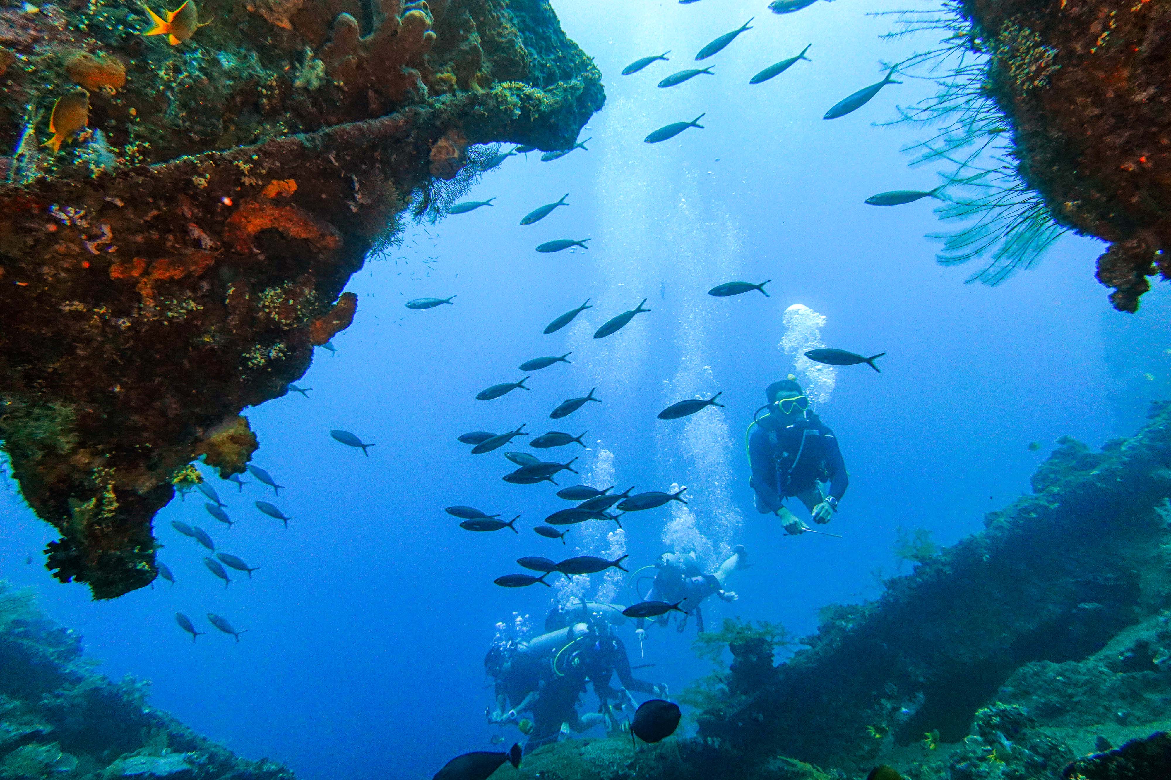 15 Jurnalis Lolos Journalist Fellowsea Menjaga Laut