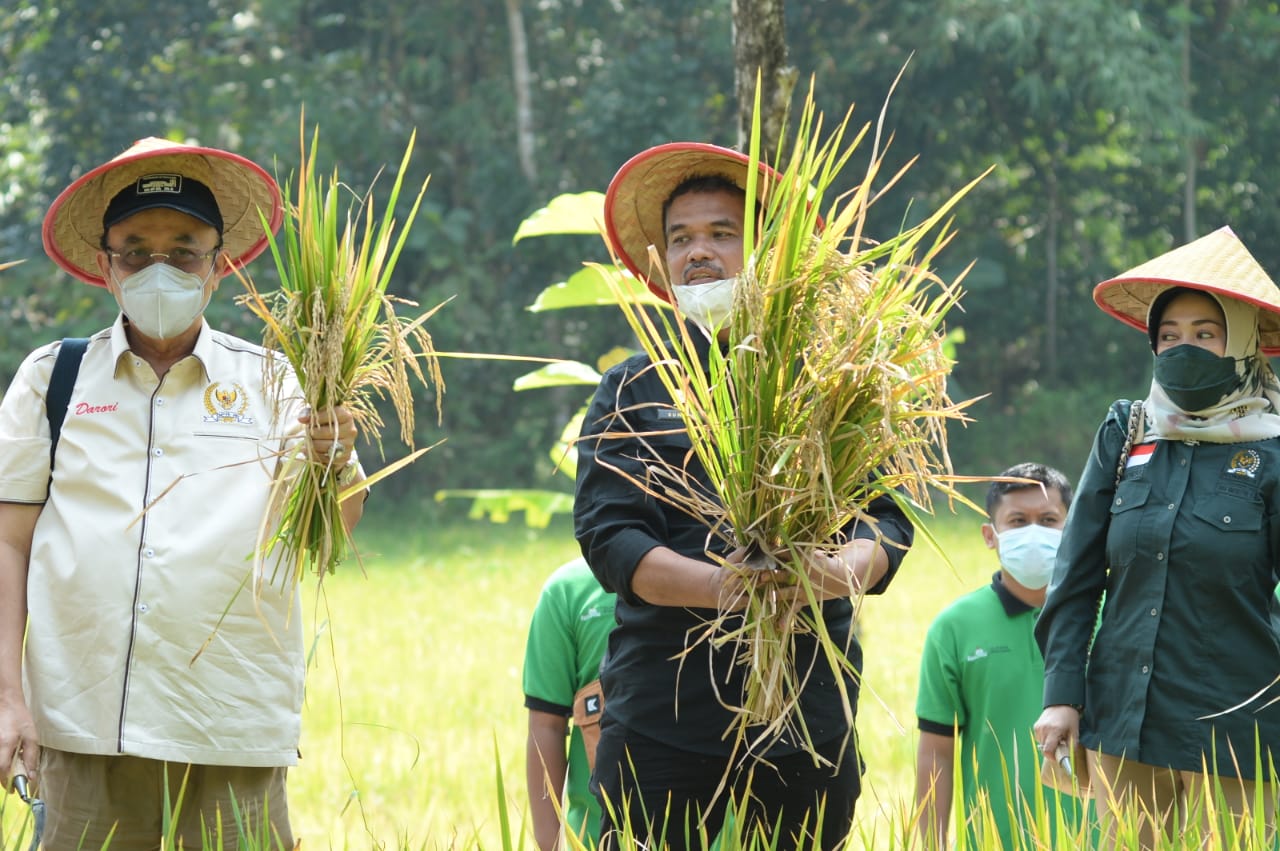 Komisi IV DPR dan Kementan mengunjungi lokasi cetak sawah baru di Desa Sendangsari, Kecamatan Pengasih, Kulonprogo, DIY, Sabtu (10/4).