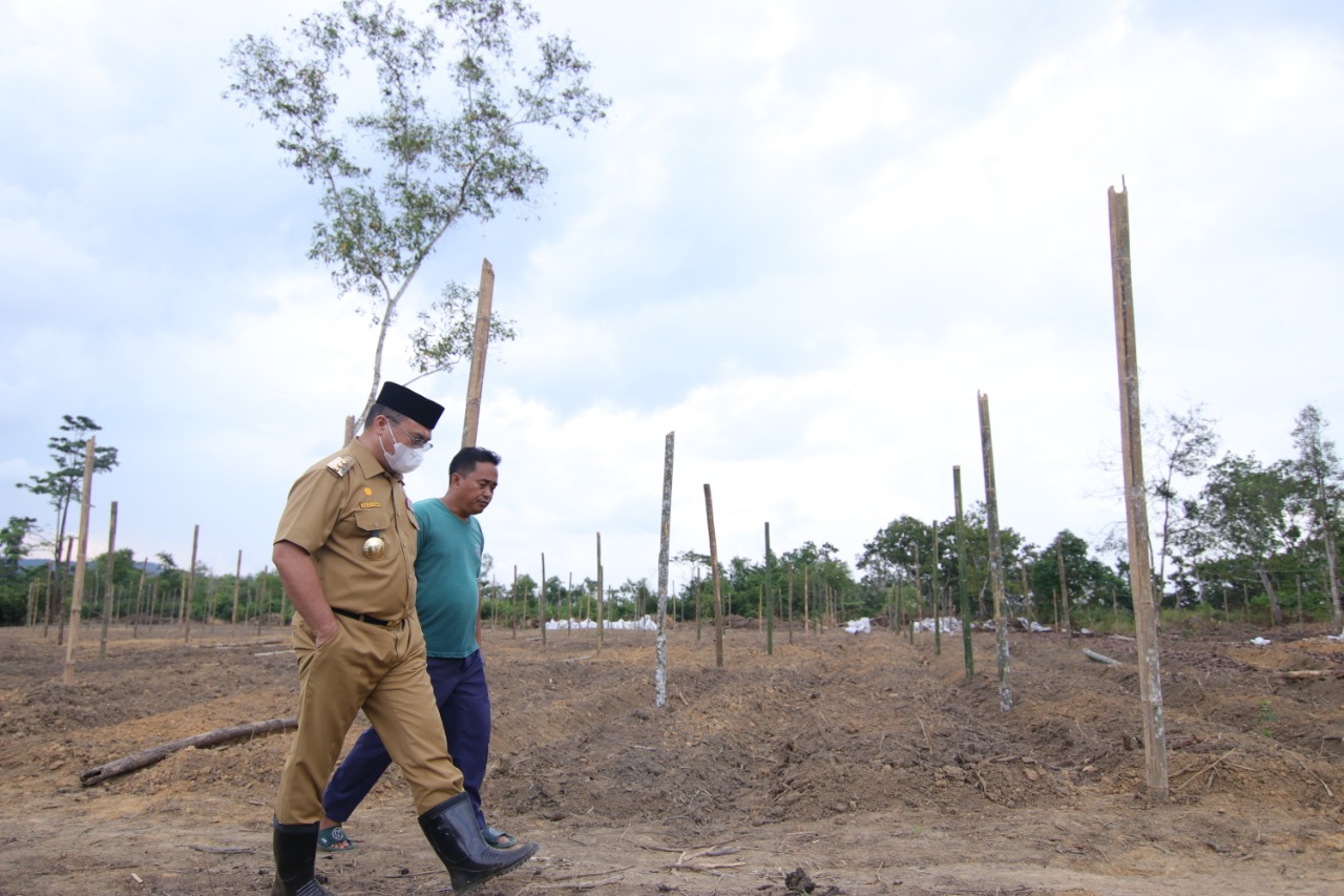 Gubernur Babel Erzaldi Rosman (kiri).