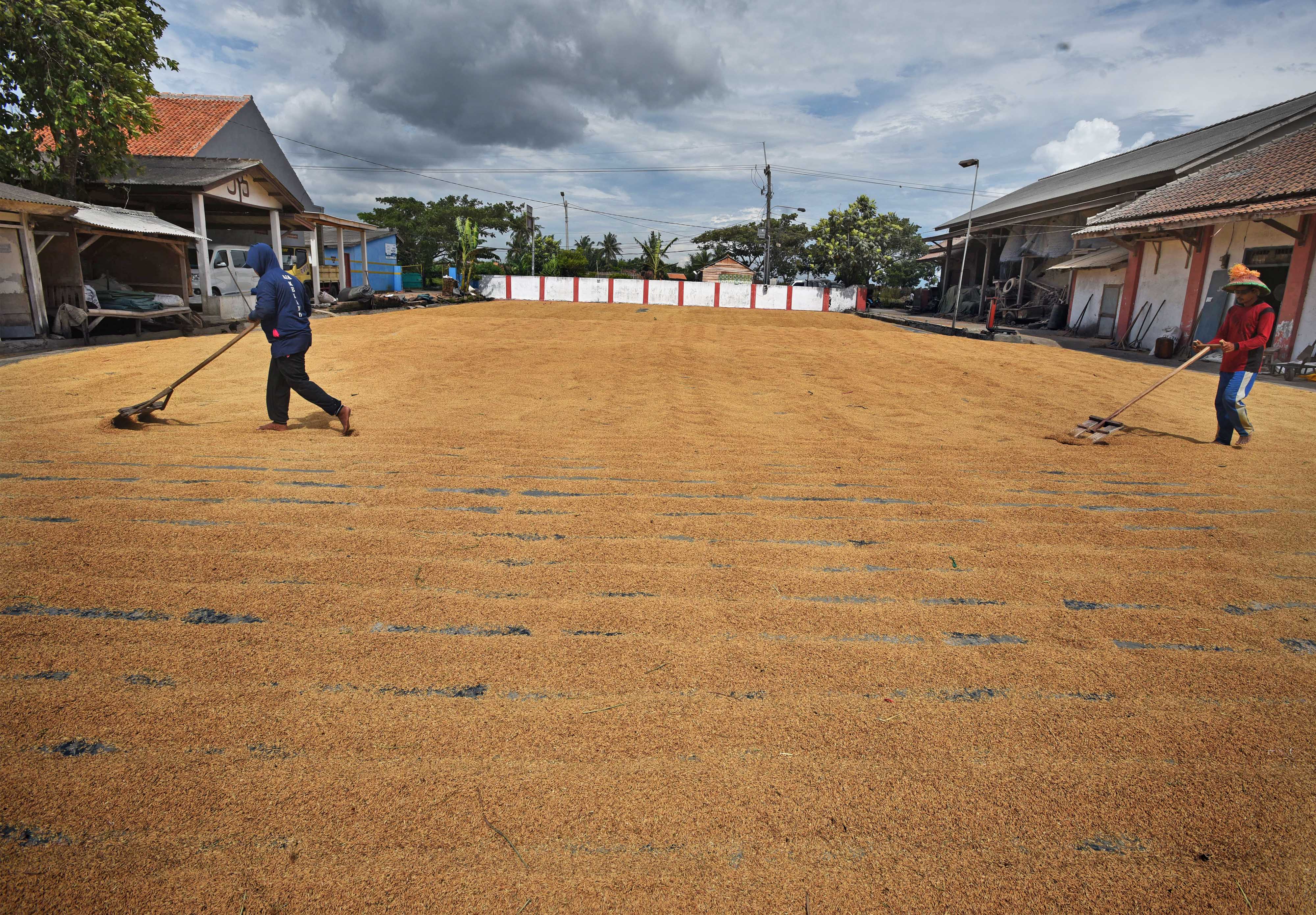  Pekerja menjemur gabah di Kampung Dermayon, Kramatwatu, Serang, Banten, Rabu (24/3/2021).