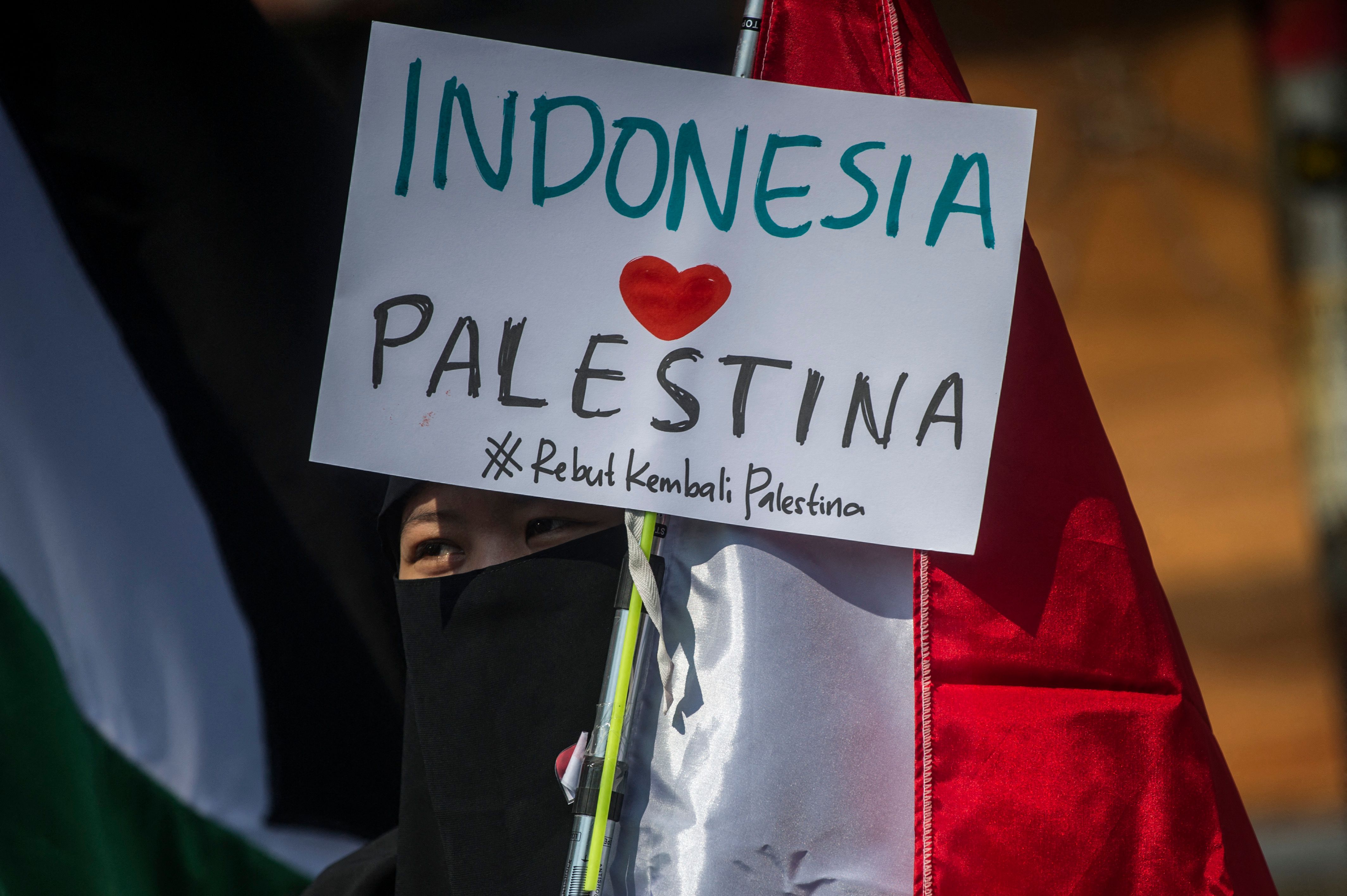 Dukungan untuk Palestina