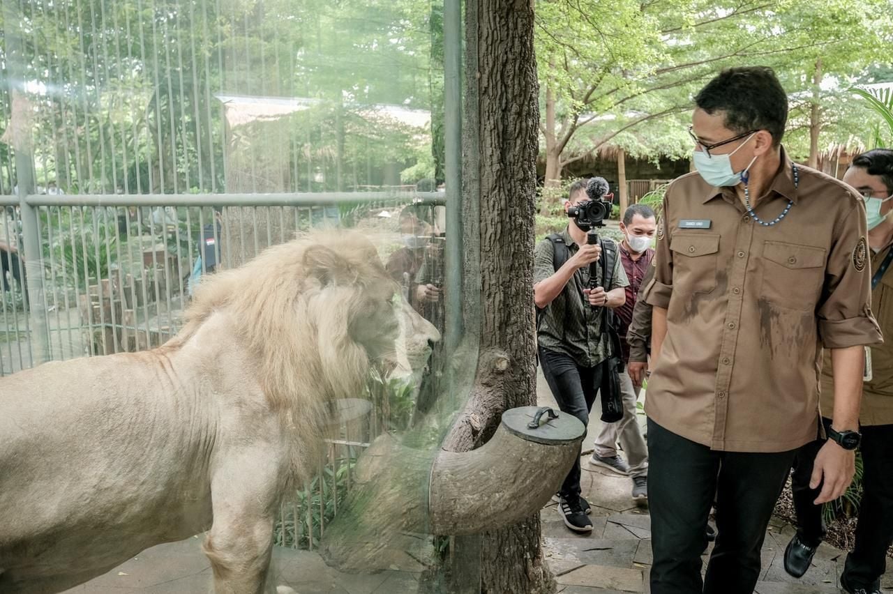 Dana Hibah Pariwisata juga Sasar Pengelola Kebun Binatang