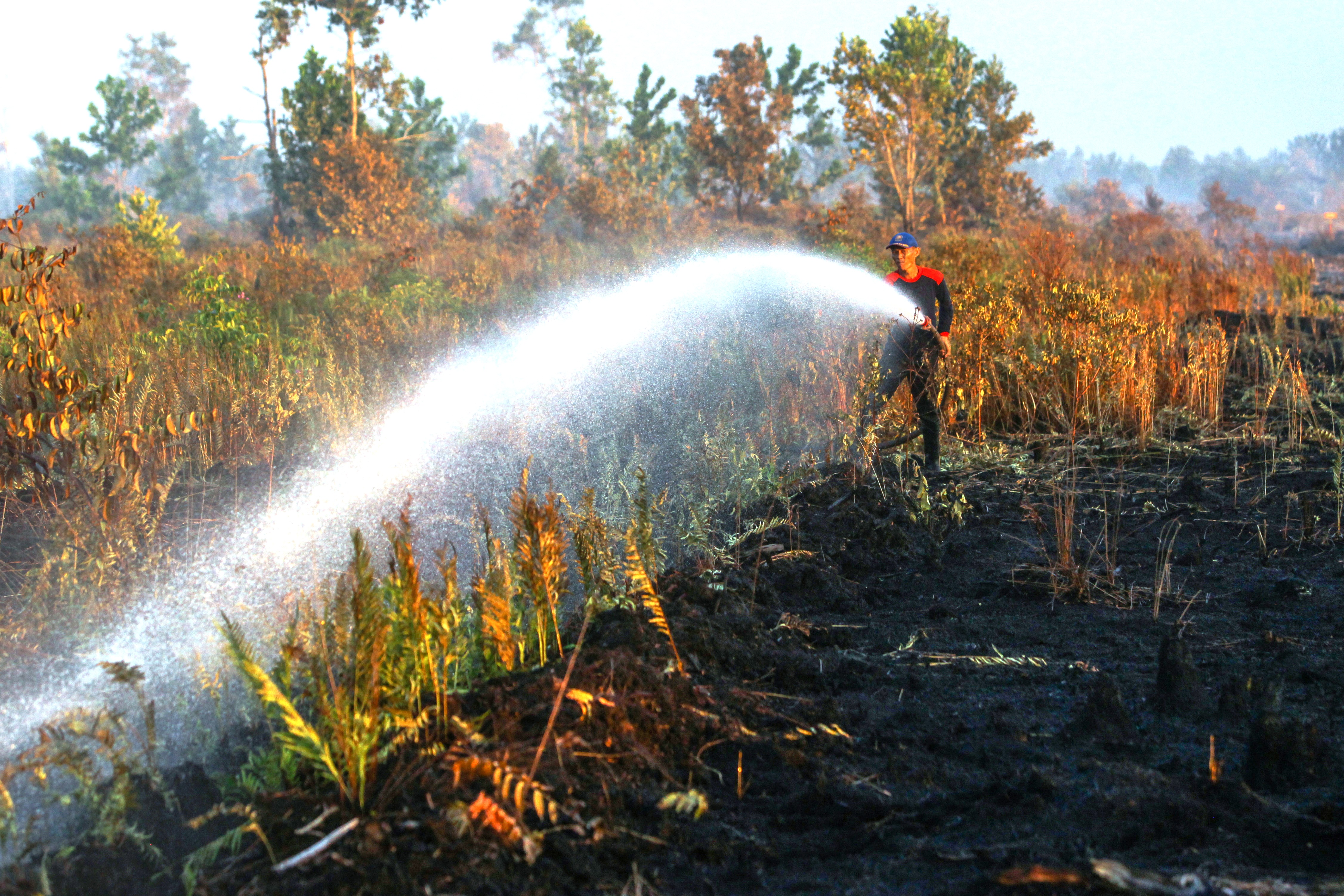Polri: Kebakaran Hutan dan Lahan Turun 81% pada 2020