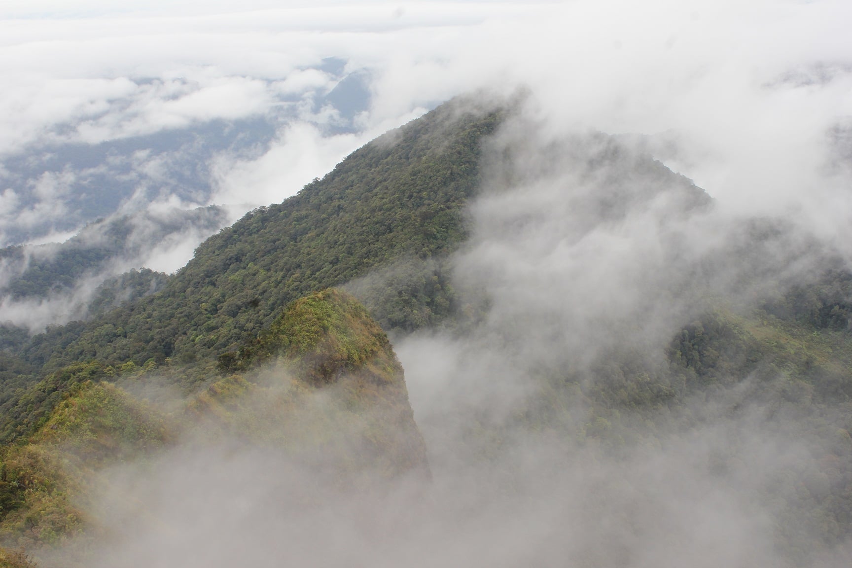 Puncak pegunungan Meratus, Kalimantan Selatan.