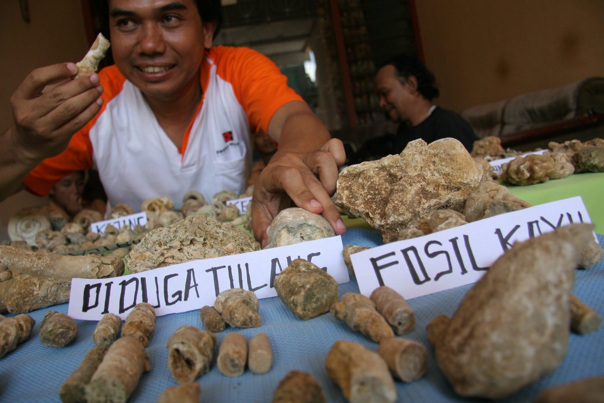 Seorang sejarawan menunjukkan fosil yang diduga tulang manusia purbakala di Tulungagung, Jawa Timur, beberapa waktu lalu.