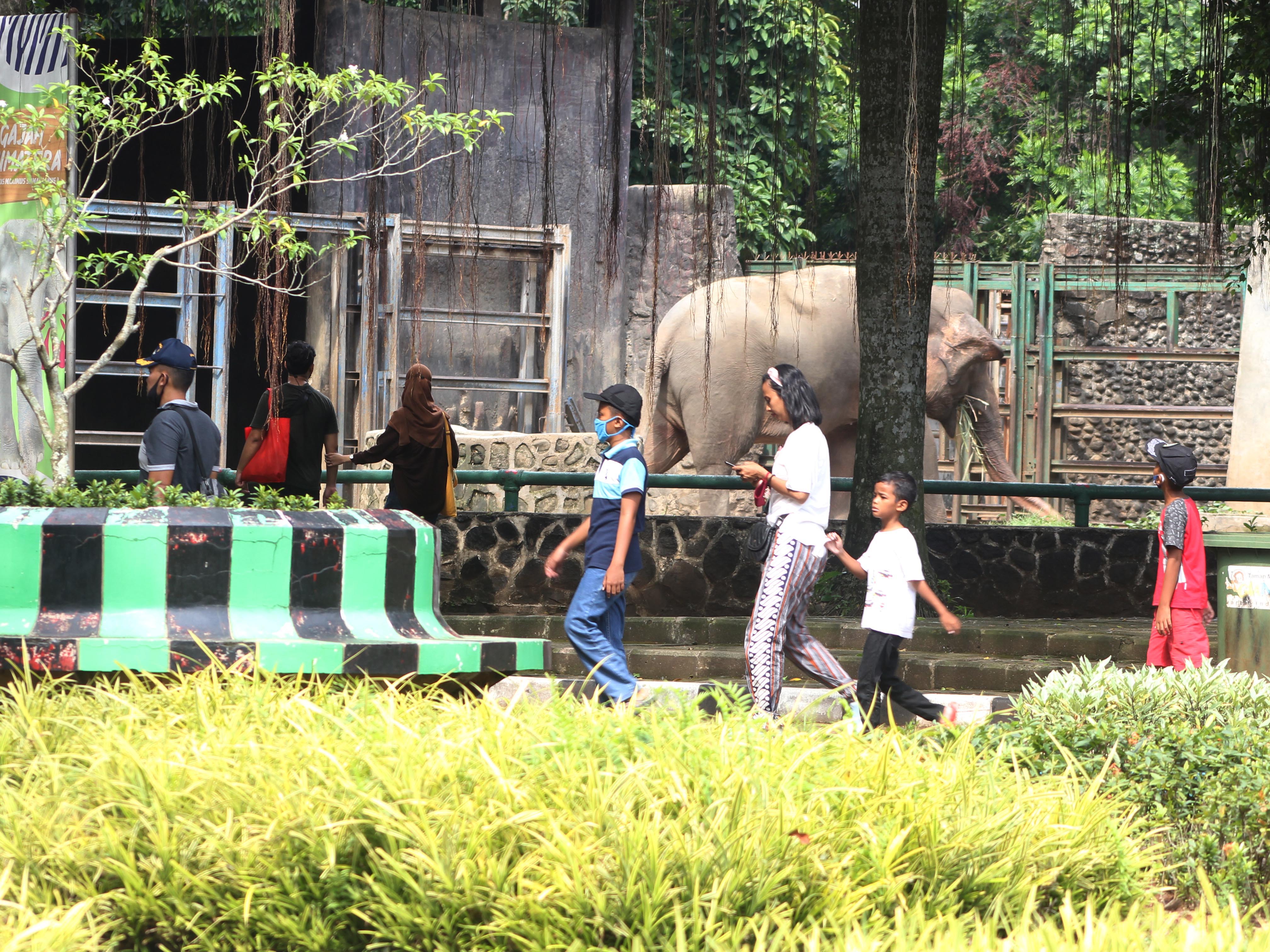 Sejumlah pengunjung menikmati suasana dan menyaksikan satwa di Kebun Binatang Ragunaan, Jakarta.