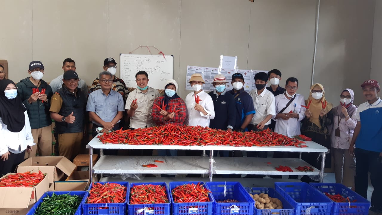 Hasil produksi pertanian siap dipasarkan