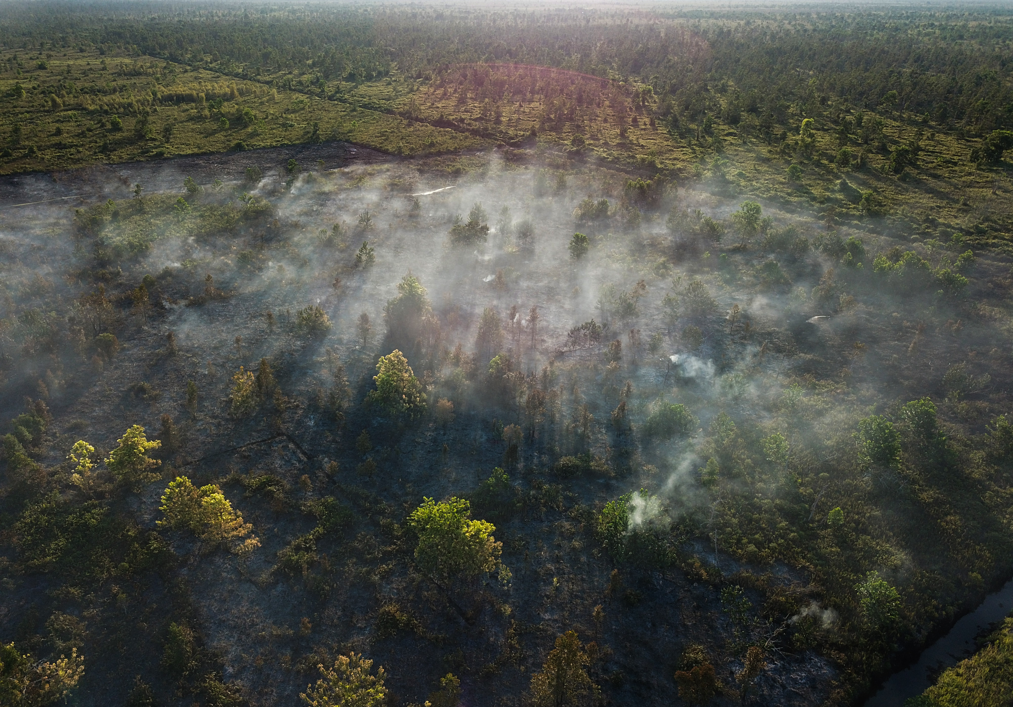 Polri Sebut Enam Wilayah Jadi Prioritas Pencegahan Karhutla