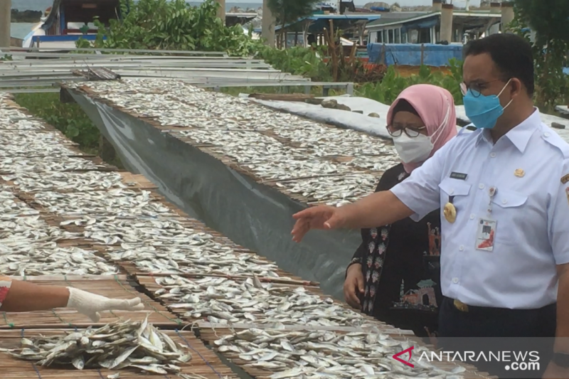 Gubernur DKI Jakarta Anies Baswedan melihat proses pengeringan ikan delar di Pulau Sabira, Kepulauan Seribu, Jumat (30/4/2021).
