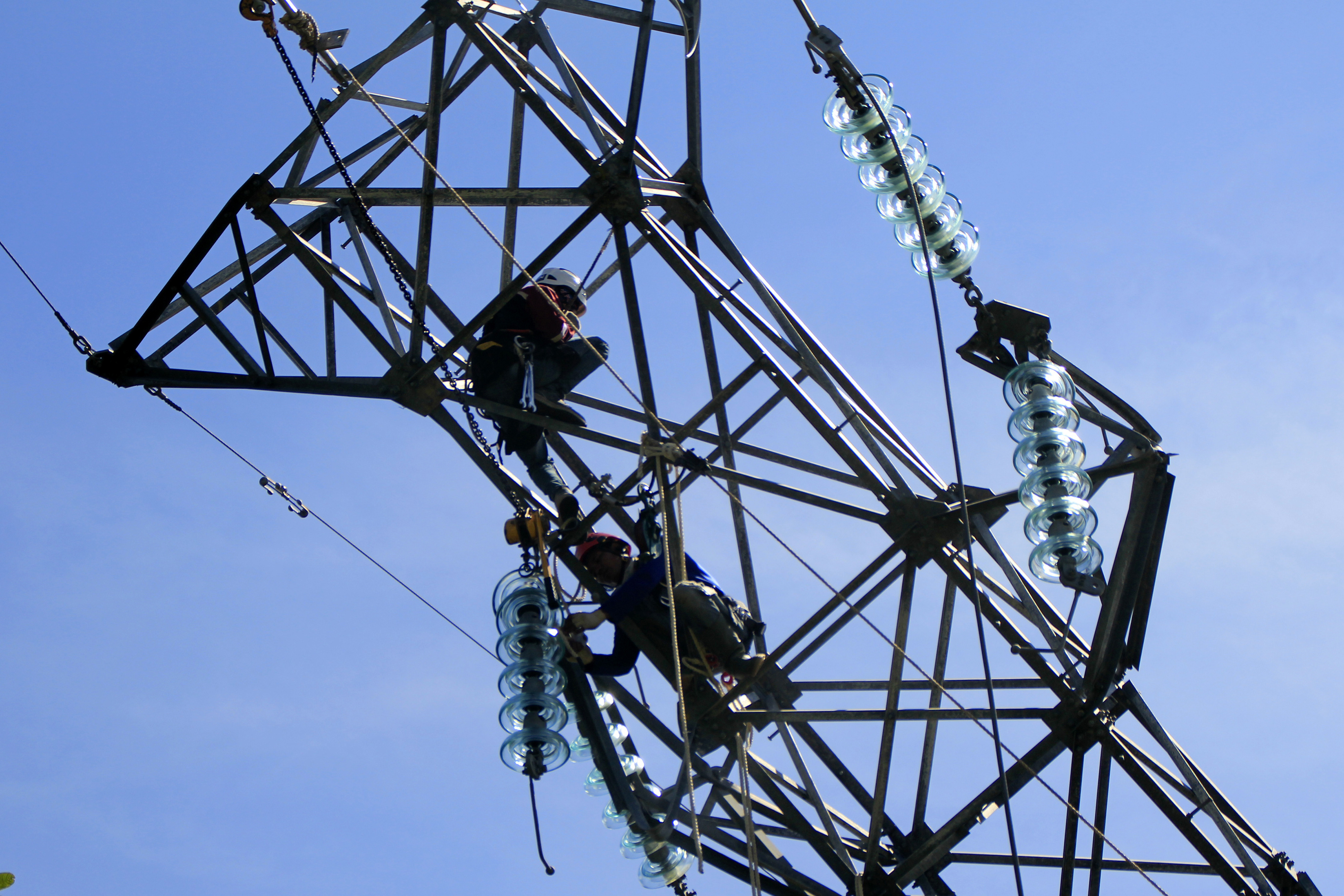Petugas PLN memasang jaringan listrik di NTT
