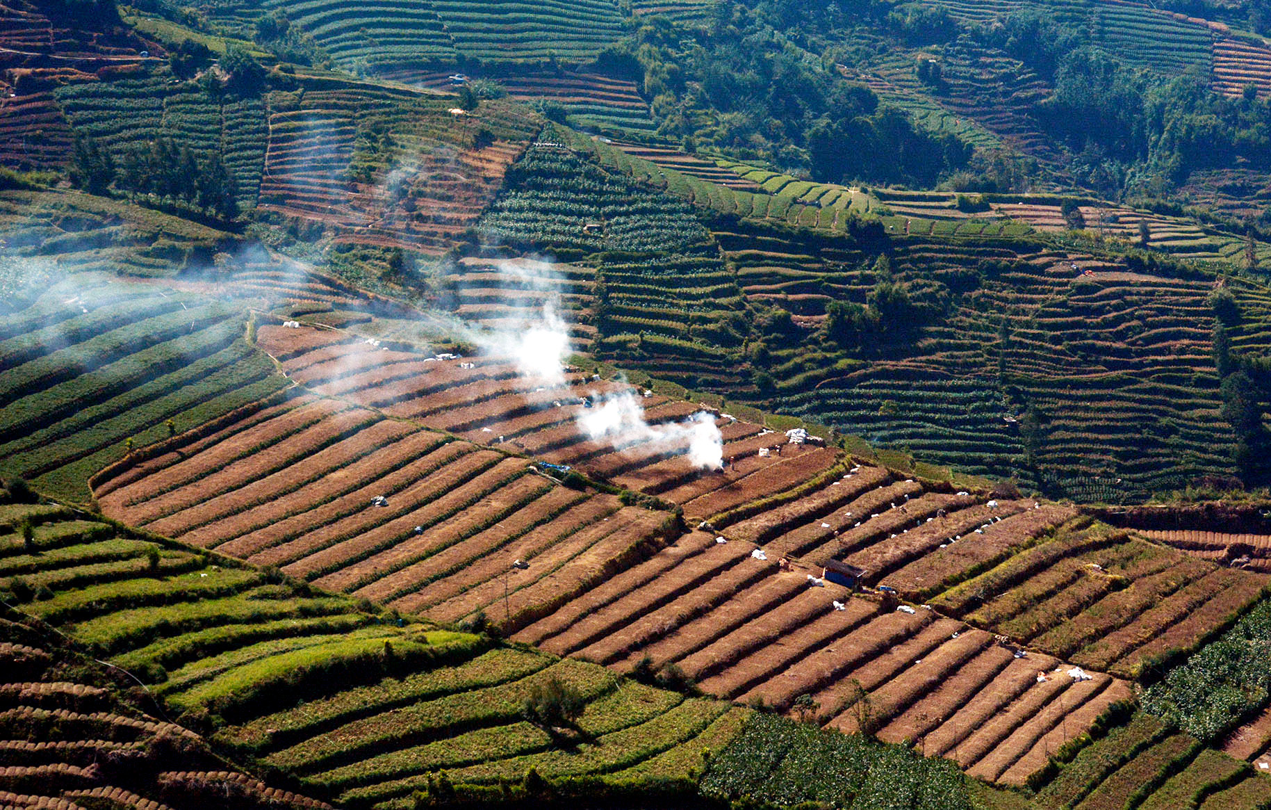  Aktivitas para petani di lahan pertanian terasering di kawasan Dieng yang merupakan perbatasan Banjarnegara dan Wonosobo, Jawa Tengah.