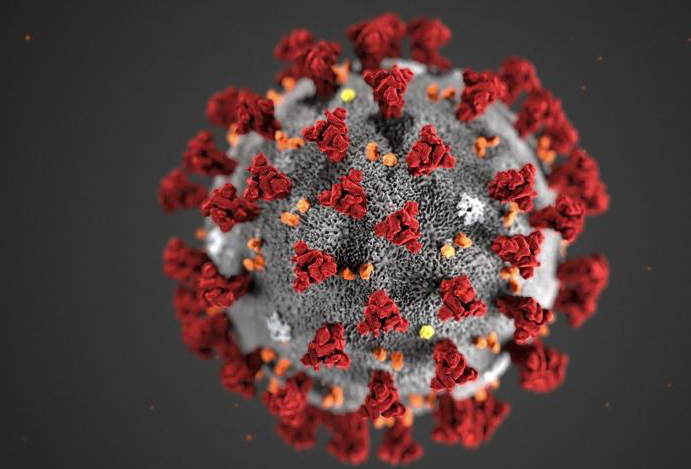 Virus Covid-19