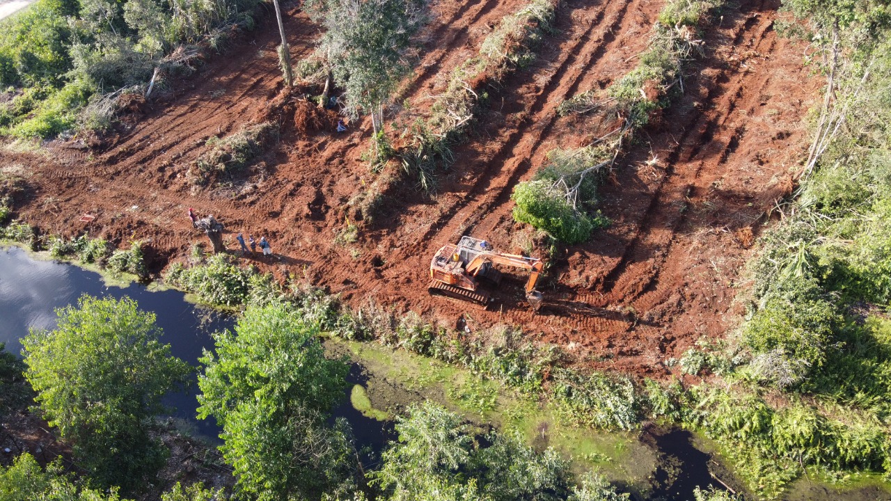 Pantauan lahan gambut