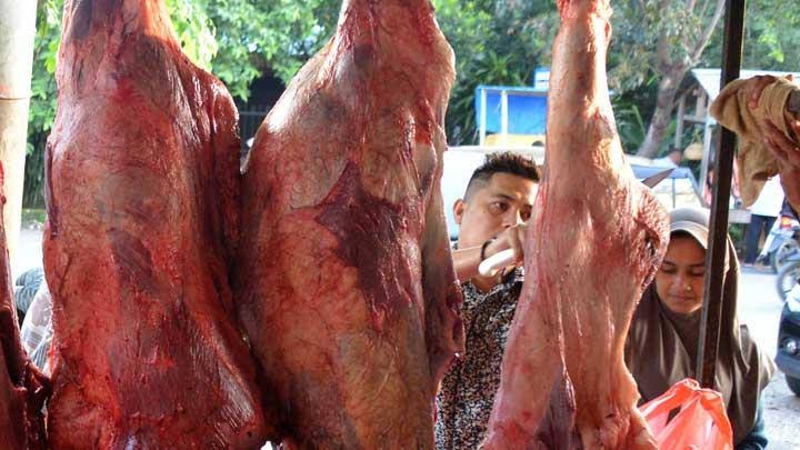 Ilustrasi daging sapi