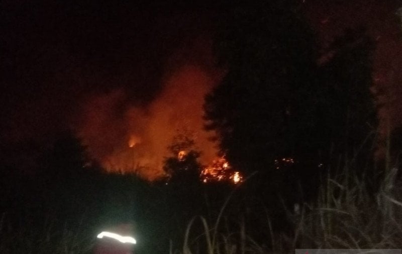 Petugas memadamkan kebakaran lahan gambut di sisi Tol Palindra Kabupaten Ogan Ilir, Sumatra Selatan, Rabu (26/5) 