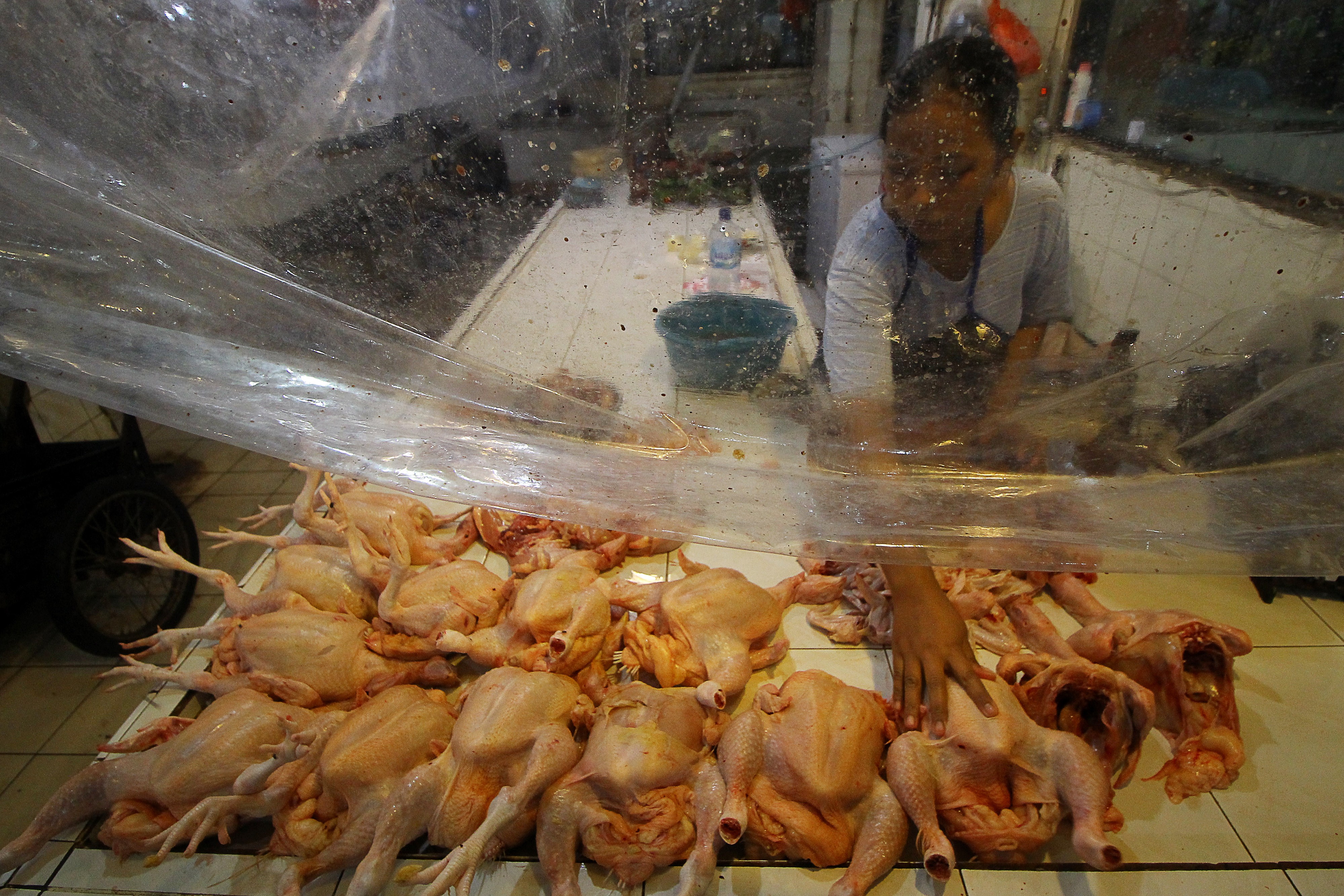 Pedagang menata daging ayam ras di salah satu stan di Pasar Tambah Rejo, Surabaya, Jawa Timur, beberapa waktu lalu.
