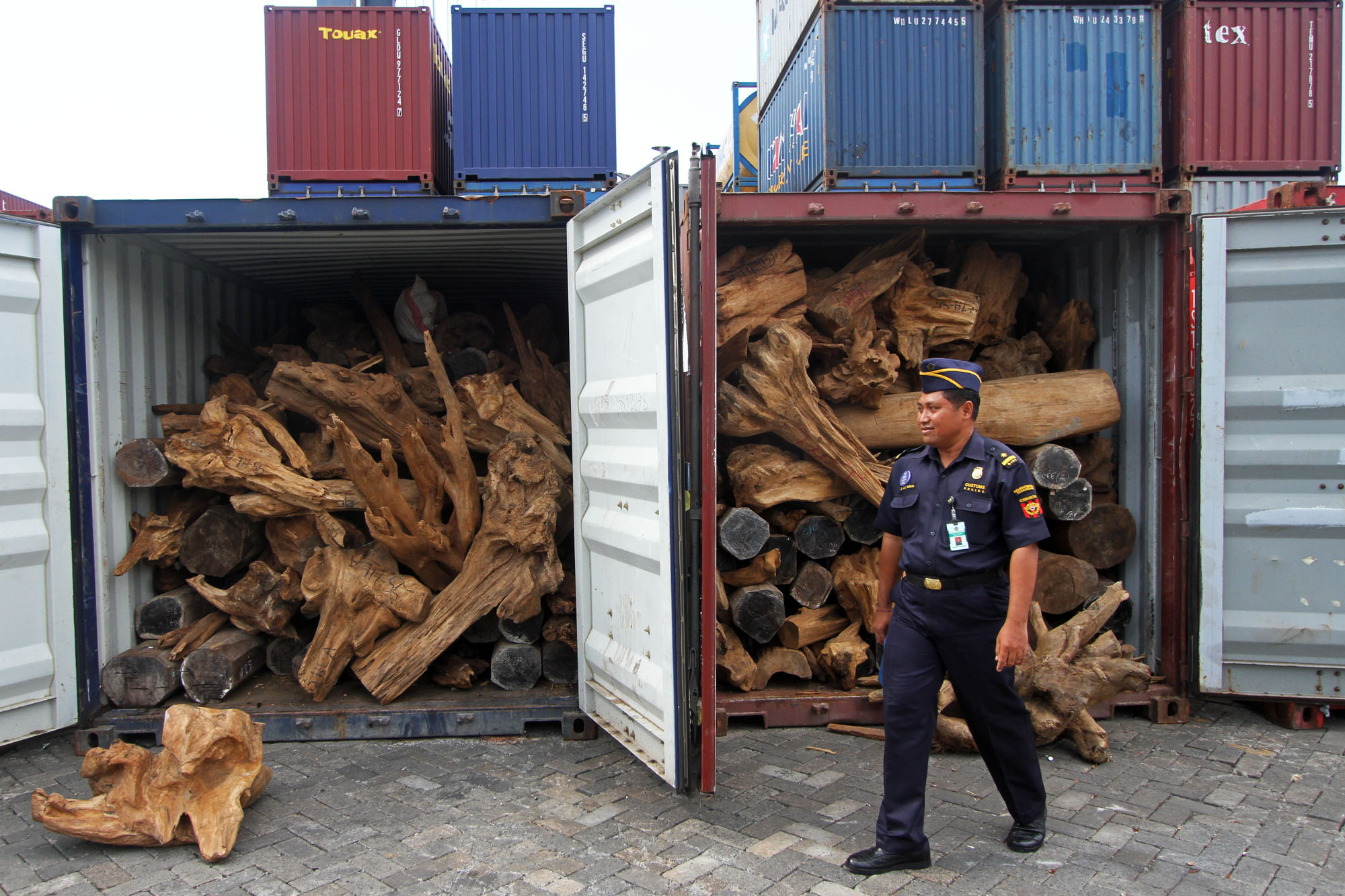 Ilustrasi penangkapan truk pengangkut kayu ilegal