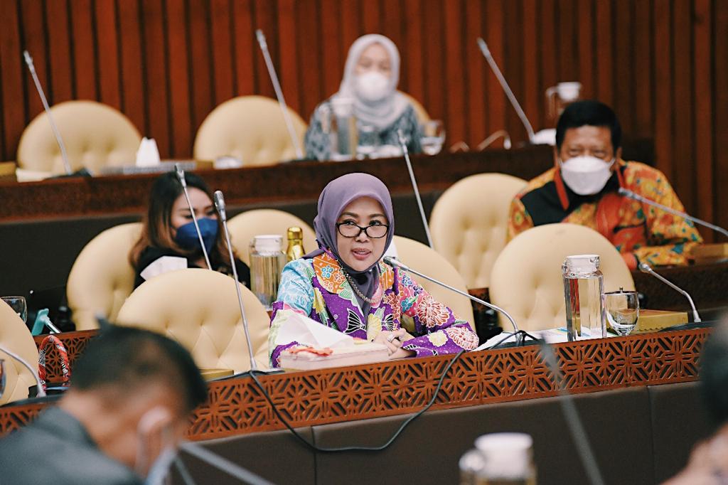 Anggota Komisi IV DPR Renny Astuti.