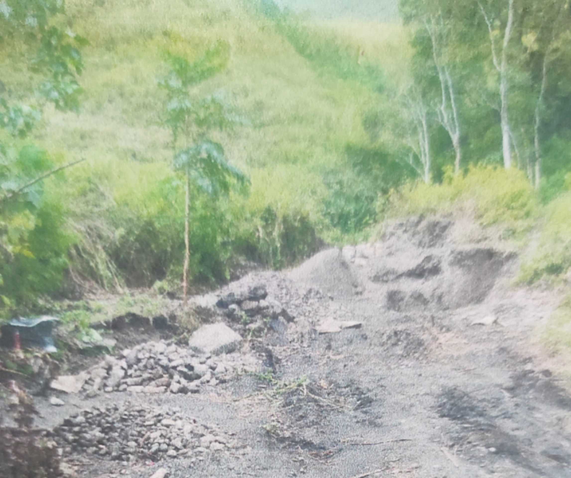 Lokasi aktivitas penambangan galian C di Hutan Lindung di Desa Napunggera, Kec.Mego, Kab.Sikka, NTT.