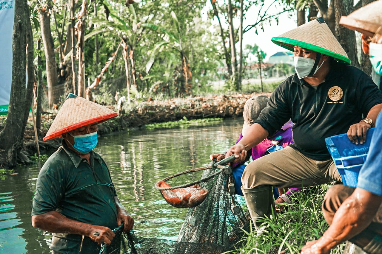 Panen perdana itu sekaligus pengembangan lahan budi daya ikan nila di Desa Kenanga, Blok Gandok, Kecamatan Sindang, Indramayu, Jawa Barat.