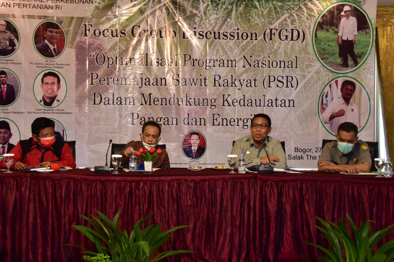 FGD dengan tema “Optimalisasi Program Nasional Peremajaan Sawit Rakyat Dalam Mendukung Kedaulatan Pangan Dan Energi” di Bogor, Kamis (27/5).