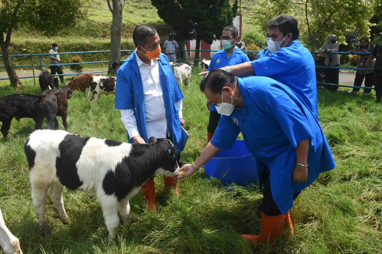 Anggota Wantimpres Agung Laksono beserta rombongan mengunjungi Balai Embrio Ternak (BET) Cipelang.