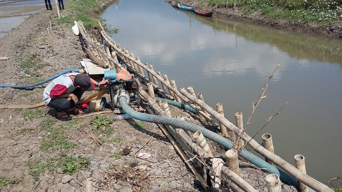 Masuk Musim Kemarau 8 Kecamatan di Temanggung Siaga Kekeringan