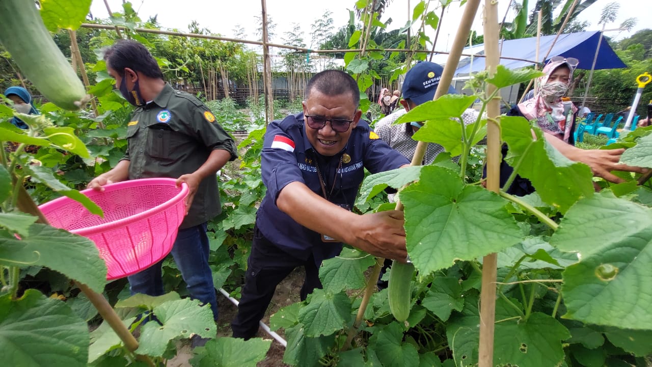  Sekretaris BKP Kementan, Anas Yalitoba saat mengunjungi  Pekarangan Pangan Lestari (P2L) di Kota Palu, Sulawesi Tengah, pada Sabtu (5/6)