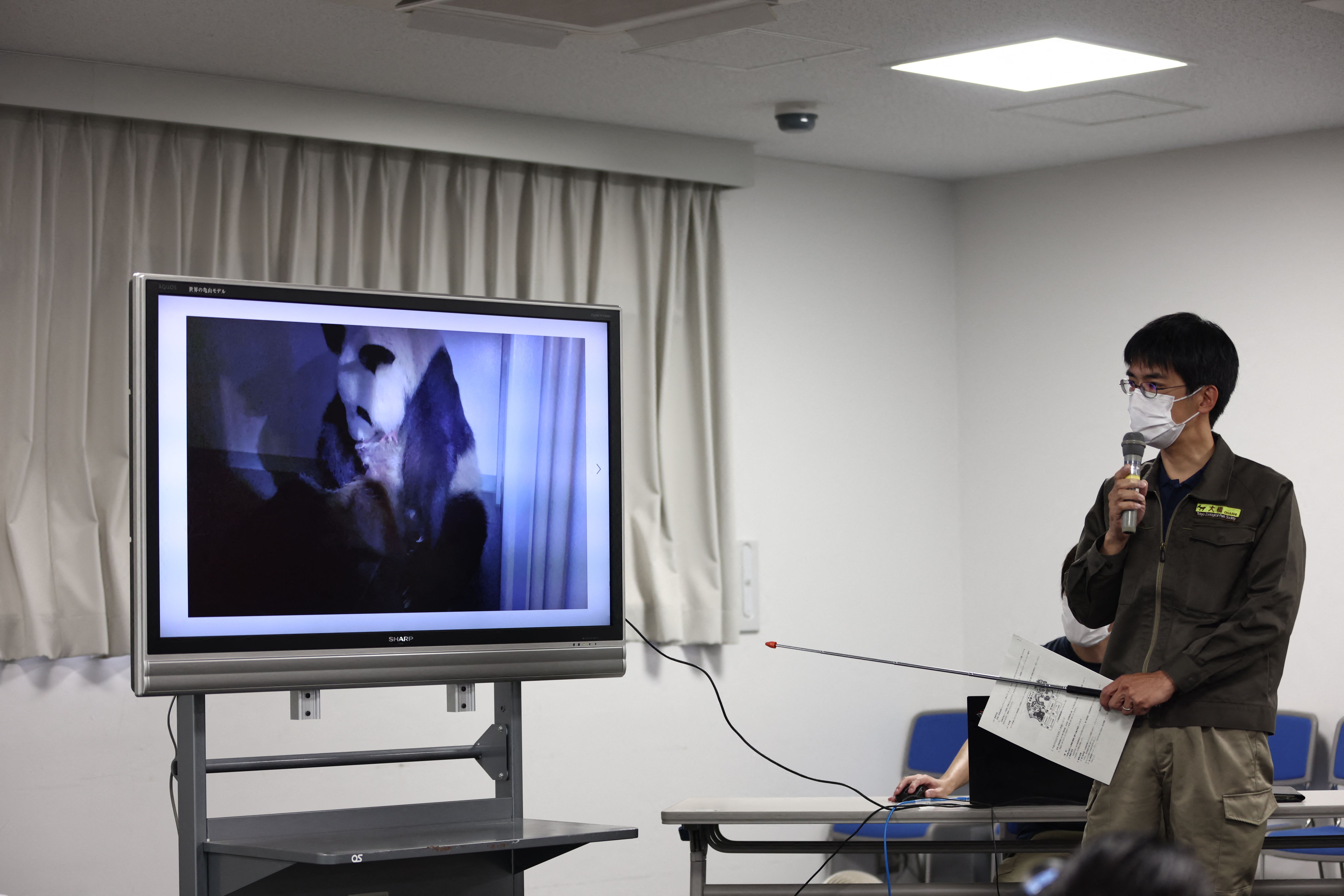 Panda di Kebon Binatang Jepang Lahirkan Anak Kembar