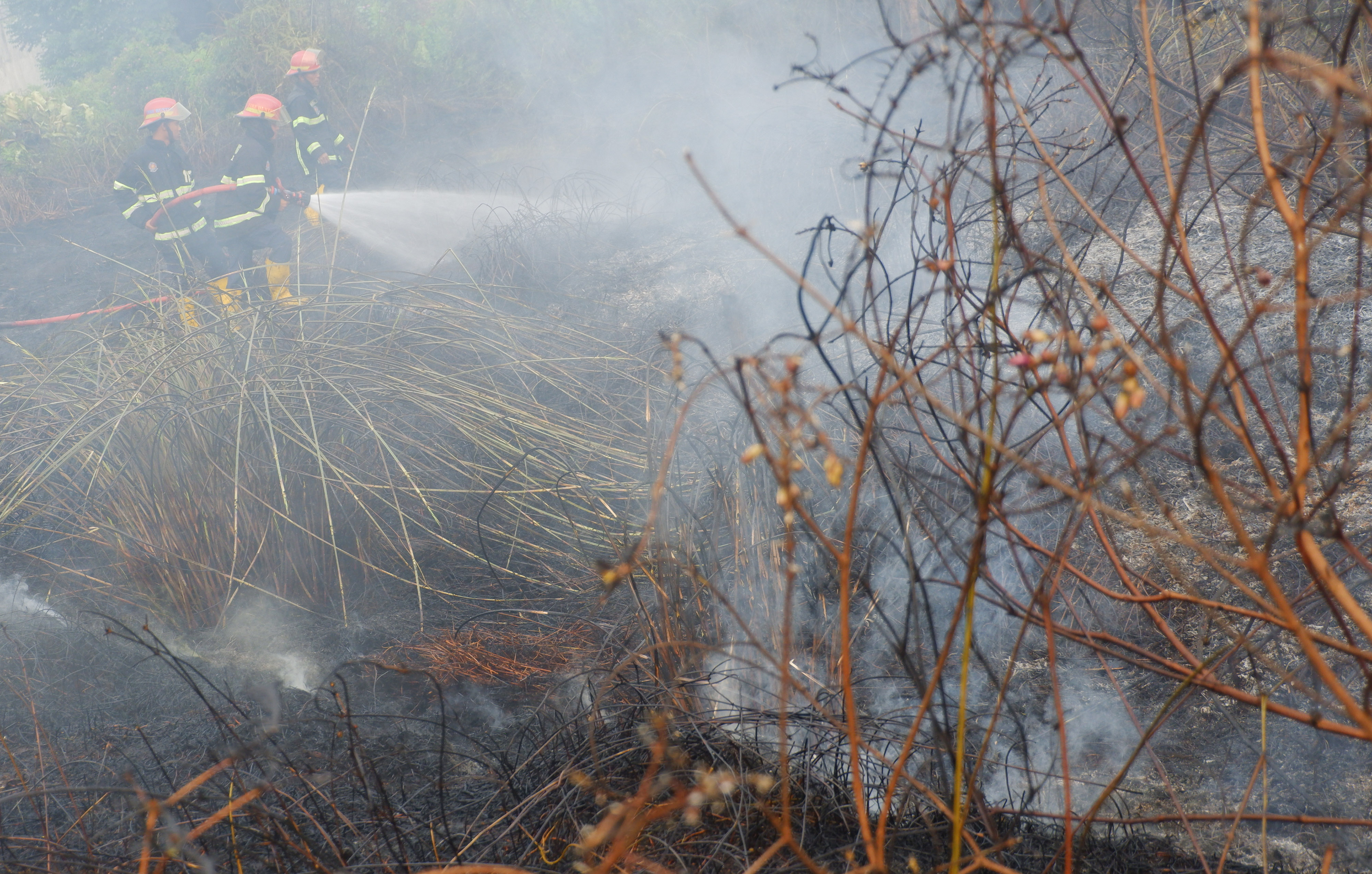 Ilustrasi petugas memadamkan lahan yang terbakar di wilayah Sumatera.