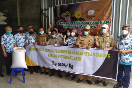 Badan Ketahanan Pangan Kementan turun ke daerah menjawab keluhan para peternak ayam petelur yang diombang-ambingkan harga pakan jagung. 