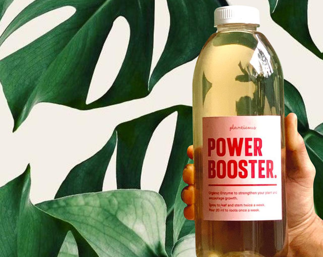 Produk perawatan tanaman hias Planticous