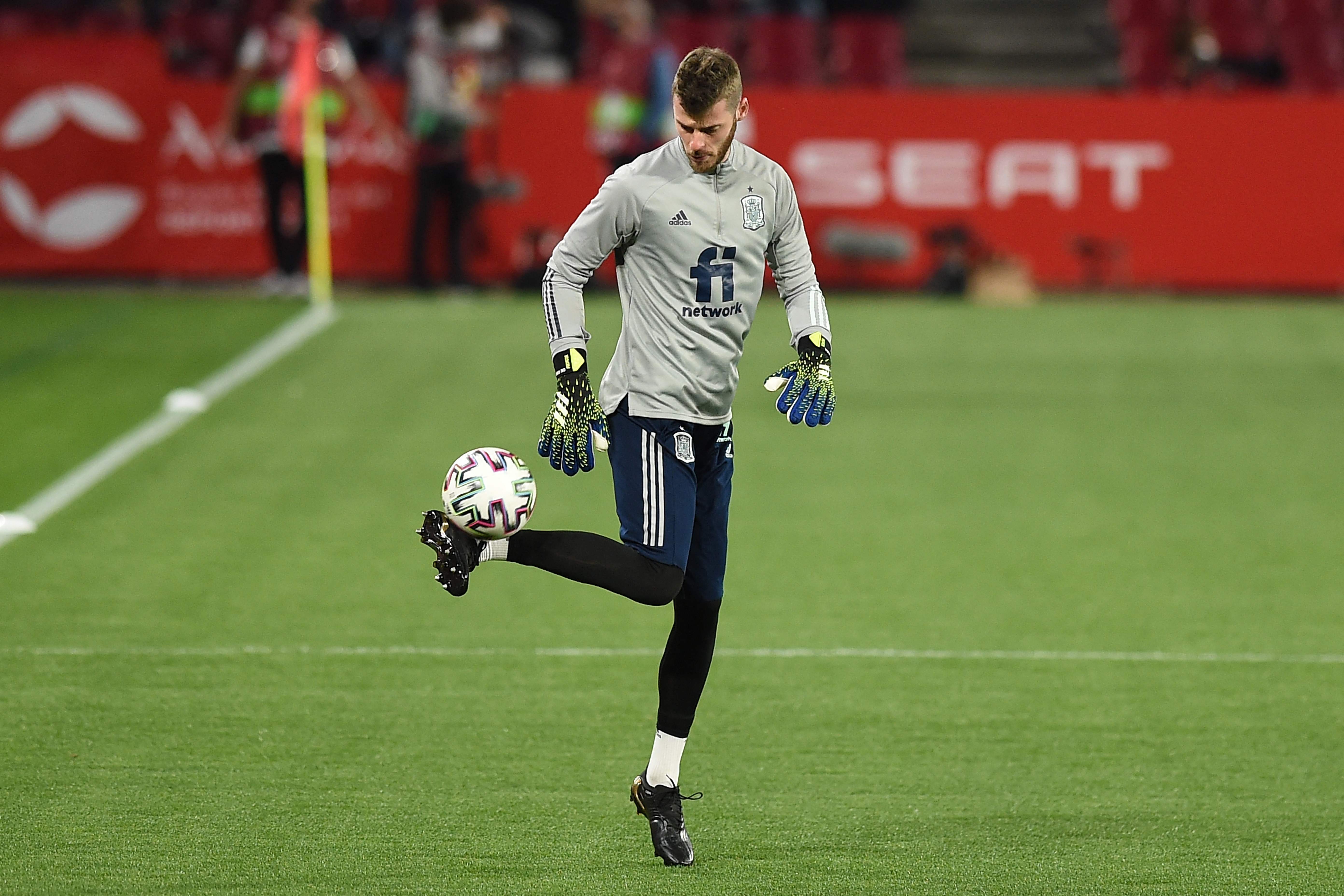 Torres Yakin De Gea tak Terpengaruh Kegagalan di Final Liga Europa