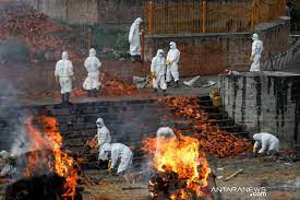 Virus yang Pertama Ditemukan di India Sangat Menular