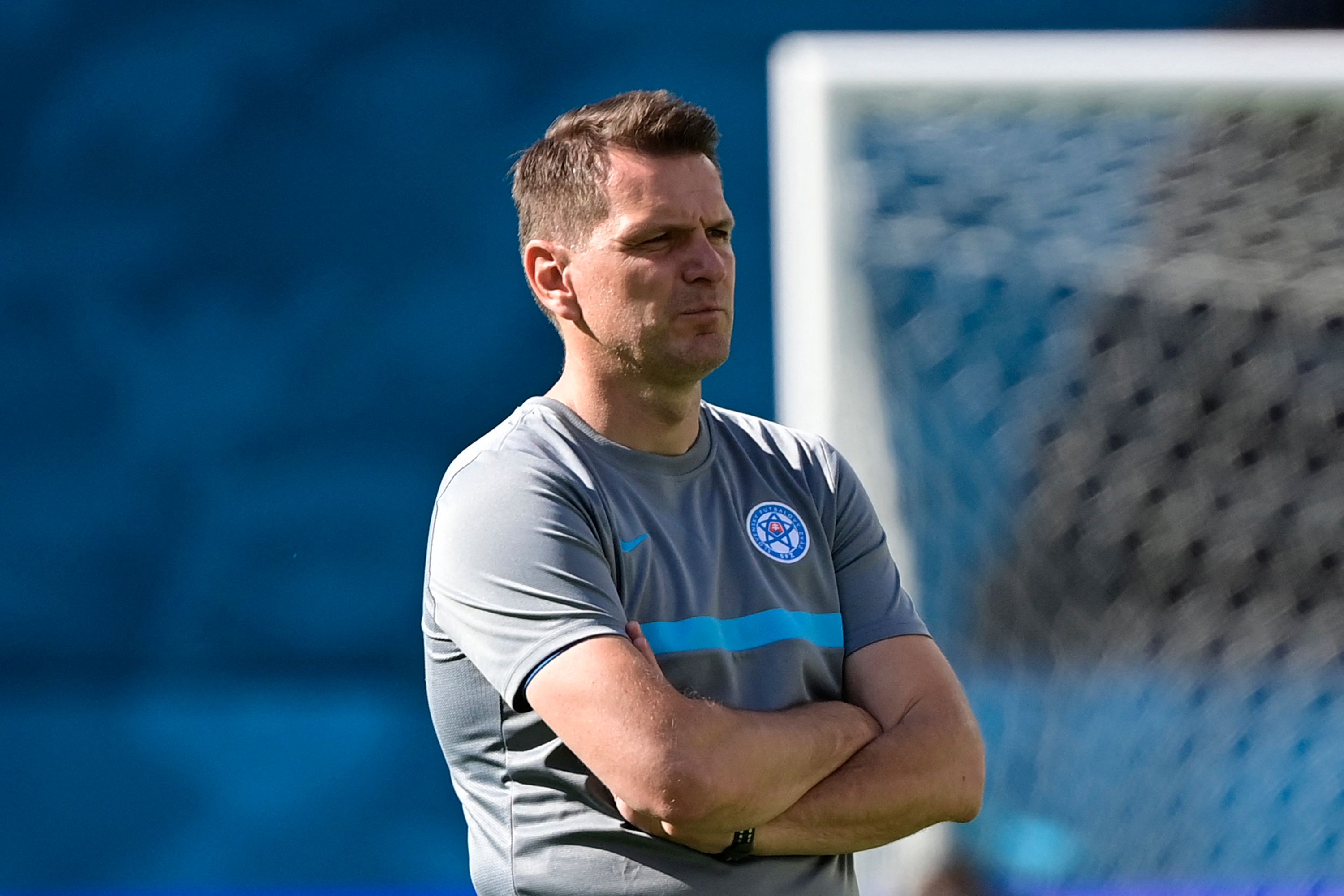 Pelatih Slovakia Stefan Tarkovic