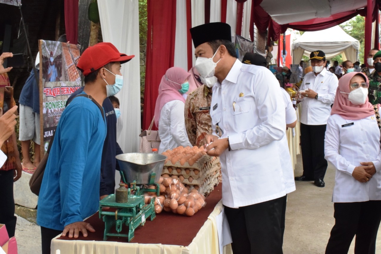 Project pengembangan sapi belgian blue dilakukan di Desa Puter, Kec. Kembangbahu, yang diresmikan Bupati Lamongan Yuhronur Efendi.