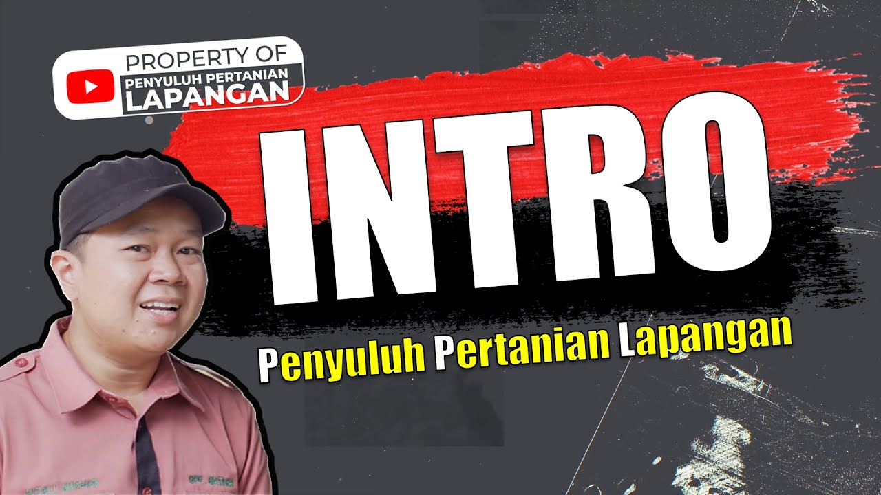 Kementan Dorong Penyuluh Beri Penyuluhan Lewat Medsos Youtube