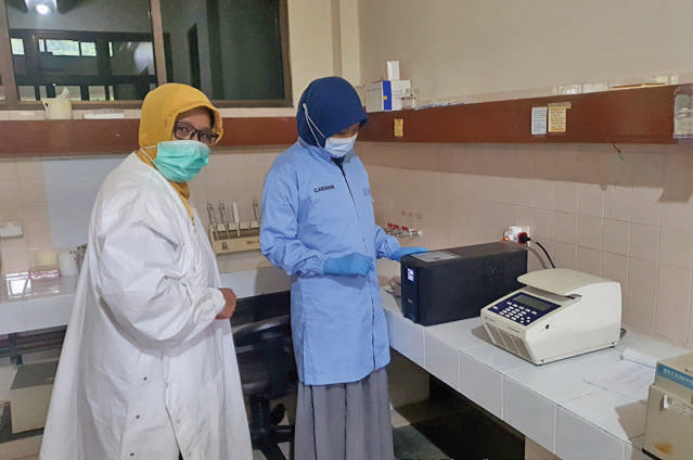 Kegiatan penelitian penyakit layu bakteri atau penyakit darah (blood disease of banana/ BDB) dilakukan para peneliti di Pusat Studi Biotekno