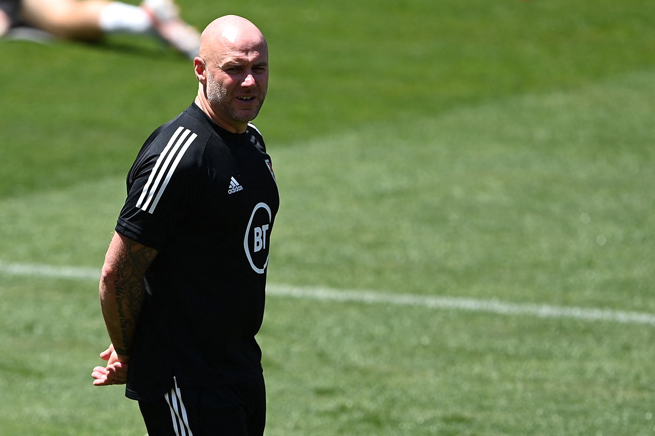 Pelatih Wales, Robert Page