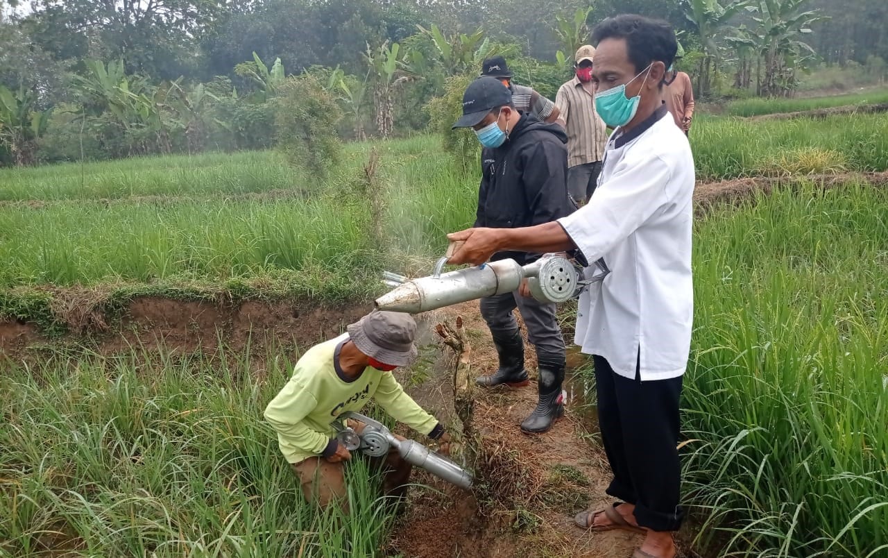 Kegiatan gerakan pengendalian (gerdal) hama tikus di Desa Kertamukti, Kecamatan Cempaka, Purwakarta, Jawa Barat.