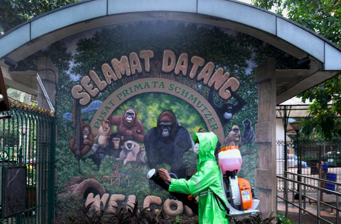 Petugas menyemprotkan dIsinfektan di Kebun Binatang Ragunan, Jakarta Selatan, Selasa (17/03/2020).
