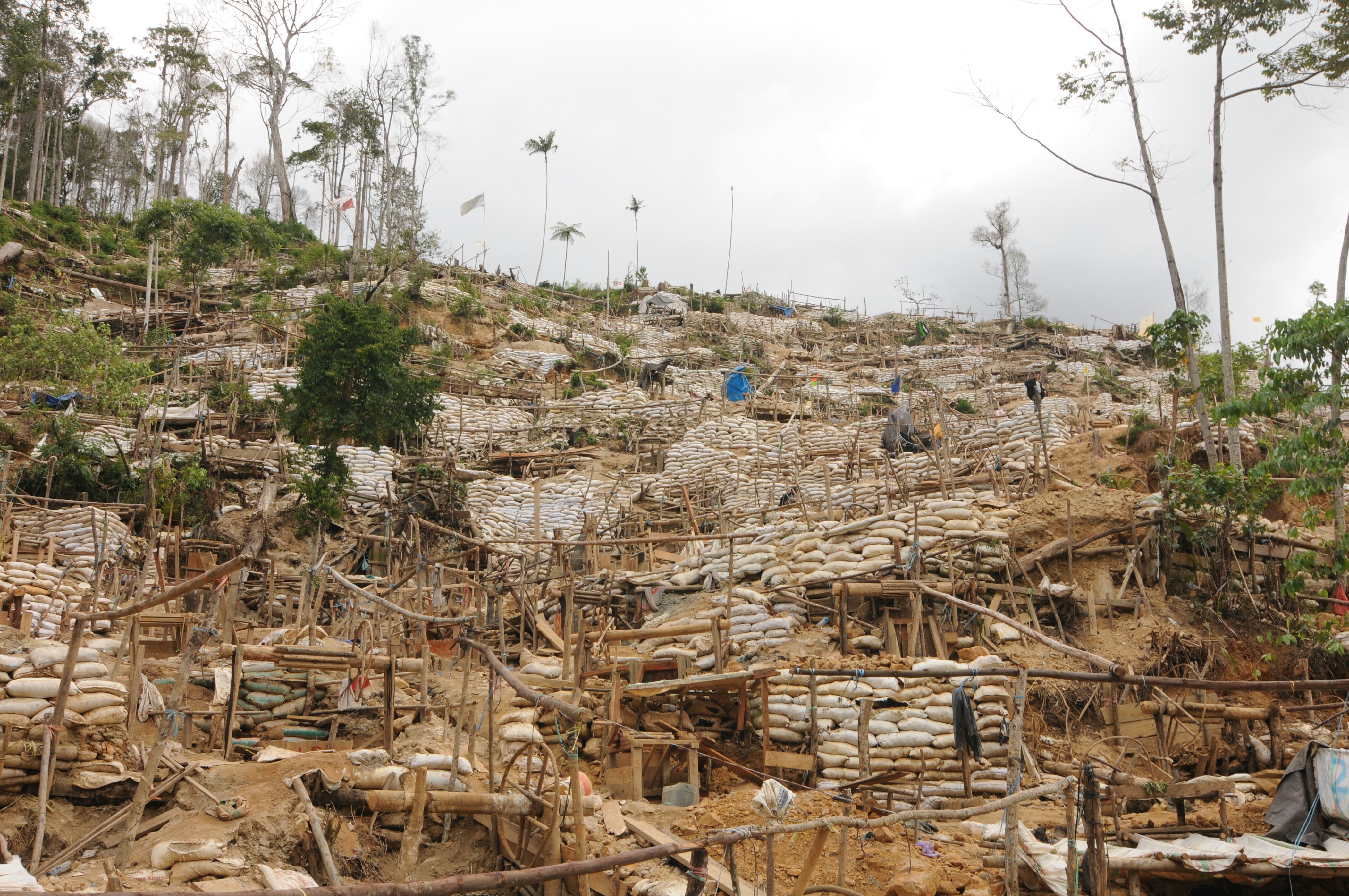 Kawasan Taman Nasional Lore Lindu (TNLL) di Desa Dongi-Dongi, Kecamatan Lore Utara, Kab. Poso, Sulteng, rusak akibat tambang emas ilegal. 
